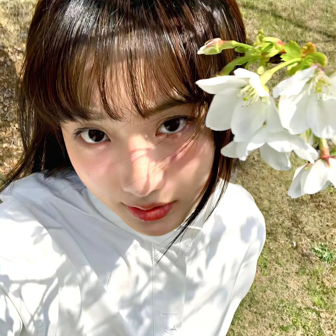 少主，中原不讲武德